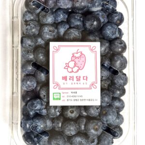 블루베리 500g