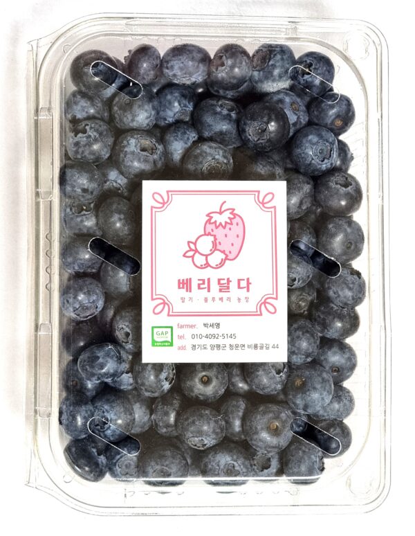 블루베리 500g