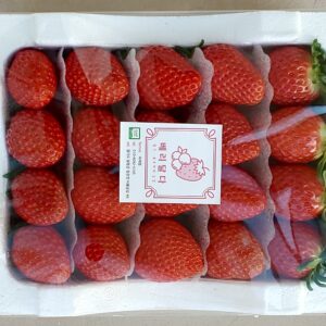 금실 딸기 2kg